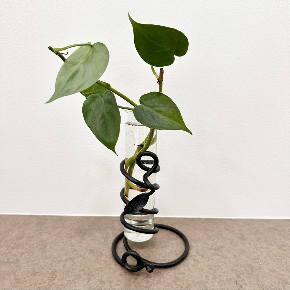 Black Hand Forged Iron Bud Propagation Vase Glass insert Leaf accent Spiral 8”